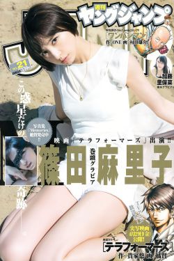 红衣手记国语